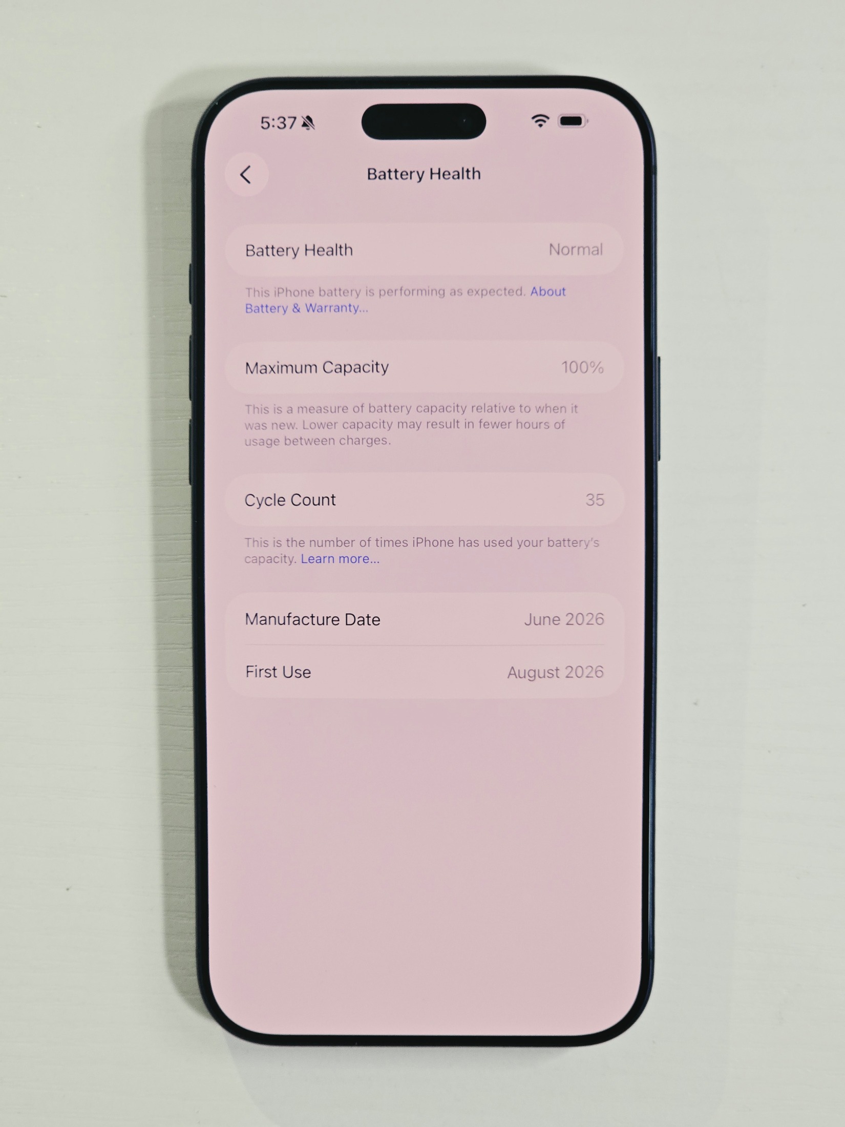 iPhone 17 Pro Max · Deep Blue · 2 TB · Used · Like New · Battery Health: 100% — photo 3 of 4